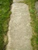 Gravestone of Steele Family