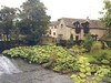 The Old Flour Mill