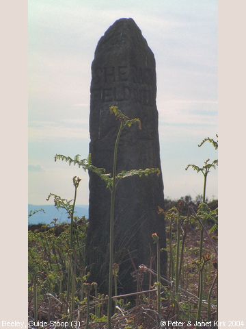 Recent Photograph of Guide Stoop (3) (Beeley)