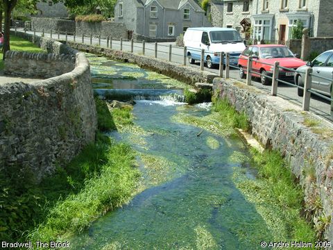 Recent Photograph of The Brook (Bradwell)