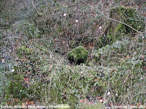 Recent Photograph of Siddalls Well (Before Restoration) (Curbar)