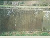 Rowbotham (Rowbottom) Graves