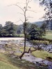 Weir on River Derwent