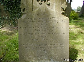 WHITE, George 1878