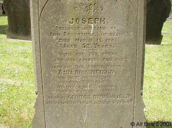BRUSHFIELD, Joseph 1905