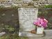 FURNESS, Rosa 1948 MI