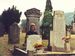 TOMLINSON, Sybil Primrose 1956 MI
