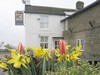 Spring Flowers at The Barrel Inn (Bretton)