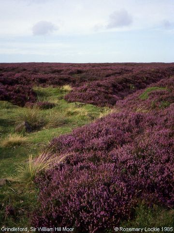 Recent Photograph of Sir William Moor (Grindleford)