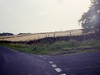 Sir William Hill Road (2)