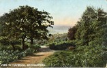 View in Haywood