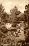 Stepping Stones (1)