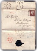 Cocker Envelope [2]
