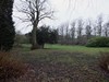 Old Cemetery (Cleared)