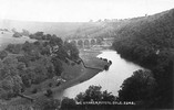 “The Warren” (Monsal Dale)