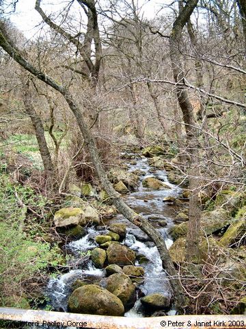 Recent Photograph of Padley Gorge (Nether Padley)