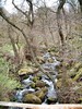 Padley Gorge