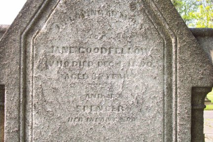 Goodfellow
