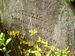 Unreadable #6 MI