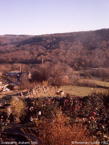 Recent Photograph of Autumn Tints (Stoke)