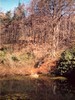 The Ram Pond (Mag Clough)