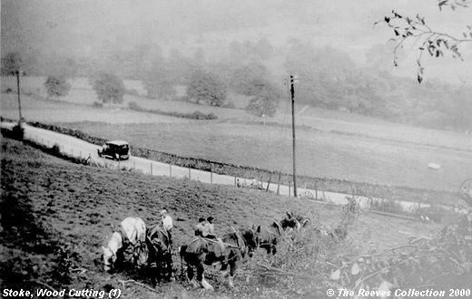 Old Postcard of Wood Cutting at Goatscliffe (1) (Stoke)