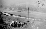 Wood Cutting at Goatscliffe (1)