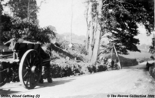 Old Postcard of Wood Cutting at Goatscliffe (2) (Stoke)