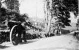 Wood Cutting at Goatscliffe (2)