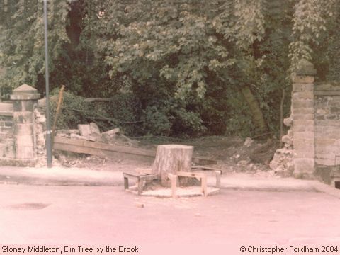 Recent Photograph of The Elm Tree by the Brook (Stoney Middleton)