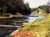 Lathkill Dale