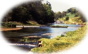 Youlgreave, Lathkill Dale