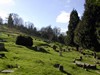 The Cemetery (Another View)