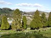 The Cemetery