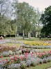 Pittville Park in Spring