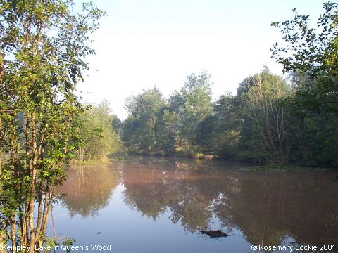 Recent Photograph of Lake in Queen's Wood (Kempley)
