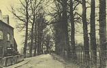 The Avenue