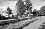Village Scene