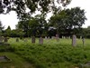 Ebley Chapelyard