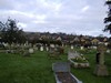 The Cemetery