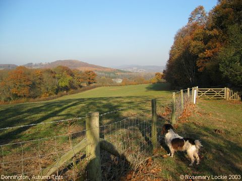 Recent Photograph of Autumn Tints (Donnington)