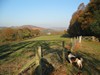 Autumn Tints