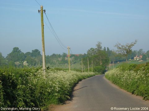 Recent Photograph of Morning Glory (Donnington)