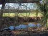 The River Leadon