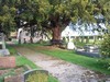 St Mary's Churchyard