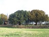 St Mary's Church (Rear View)