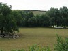 View from Churchyard