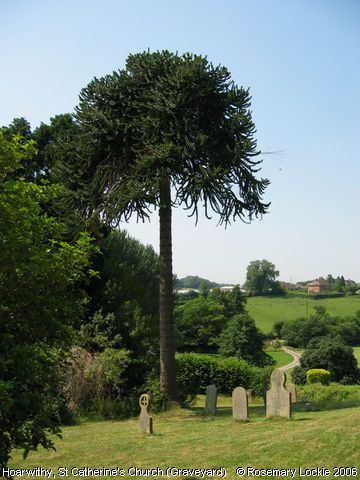 Recent Photograph of St Catherine's Church (Graveyard) (Hoarwithy)
