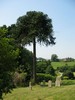 St Catherine's Church (Graveyard)