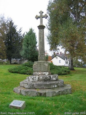 Recent Photograph of Plague Memorial (1637) (Ross)